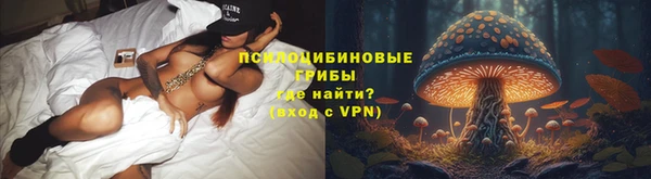 a pvp Алзамай