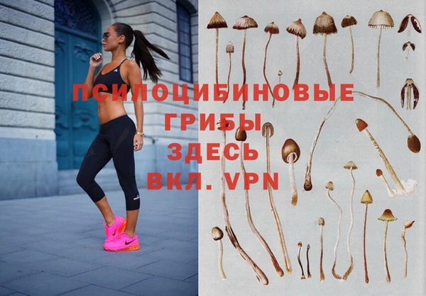 кокаин колумбия Алексин