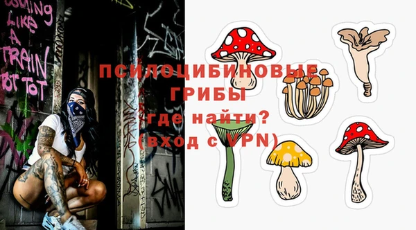 a pvp Алзамай